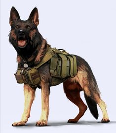 a german shepard dog wearing an army vest