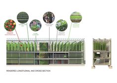 the diagram shows different types of plants and how they are used to grow them in this greenhouse