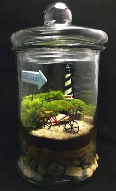 a glass jar filled with plants and rocks