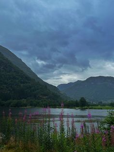 a large body of water surrounded by lush green hills and purple flowers on the shore