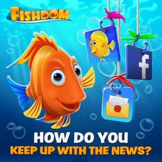 an image of a fish with the caption how do you keep up with the news?