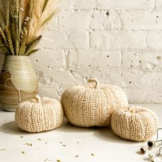 three knitted pumpkins sitting next to a plant in a vase on a table