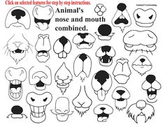 an animal's nose and mouth combined with the words, click on selected features for step - by - step instructions