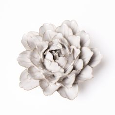 a white flower is shown against a white background