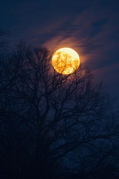 the full moon is shining brightly in the night sky behind some bare tree limbs and branches