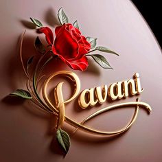 the name pavanii with a red rose on it's side and gold lettering