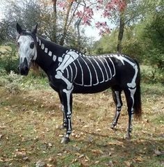 a horse with skeleton paint on it's body standing in the grass next to trees