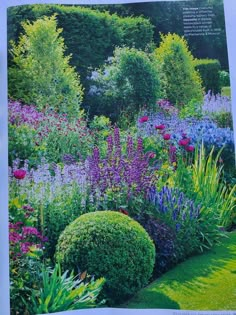 a garden filled with lots of different types of flowers