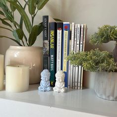 a white shelf topped with books next to a potted plant and two candle holders