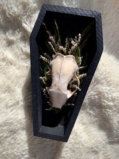 an empty black box with flowers inside on a white carpeted surface, top view