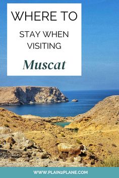 the coastline with text overlaying where to stay when visiting muscat