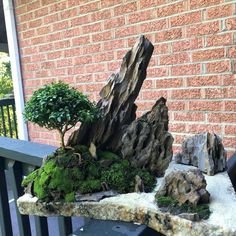 a bonsai tree is growing out of rocks on a balcony railing in front of a brick building