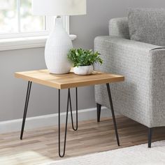 a table with a plant on it next to a gray couch in a living room