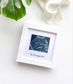 a white box with a picture on it next to a green plant and some leaves