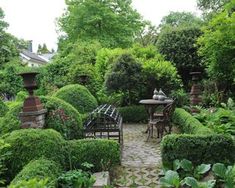 a garden with lots of green plants and chairs in it's center, surrounded by greenery