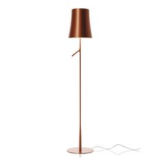 a floor lamp with a brown shade on it