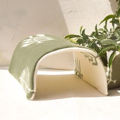 a green and white cat bed sitting next to a potted plant on the ground