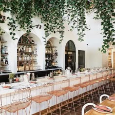 an outdoor dining area with tables and chairs covered in ivy vines, hanging from the ceiling