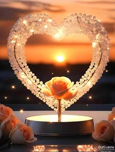 a lighted rose in the shape of a heart on top of a table with roses around it