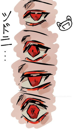 an illustrated drawing of different types of eyes