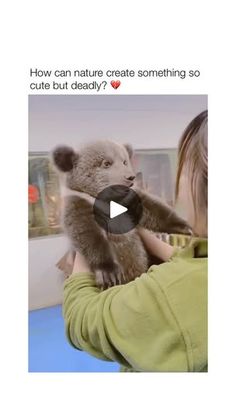 902K views · 386K reactions | The only teddy bear I want for Christmas! 😭🙏 | PawesomePlanet 🌎🐾