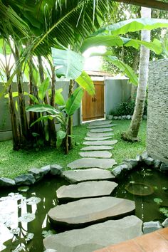 a garden with stepping stones leading to a small pond