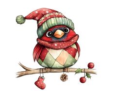 a bird wearing a santa hat and scarf sitting on a branch