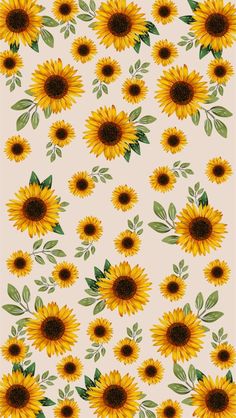 sunflowers on a white background, with green leaves and flowers in the center