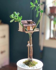 a bonsai tree with a house on it