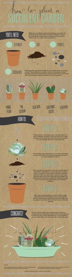 an info sheet describing how to grow succulents in the garden and how to use