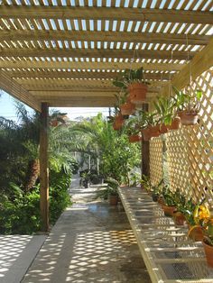 a wooden pergoline with potted plants on the side and walkway leading up to it