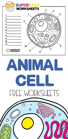 an animal cell worksheet is shown with the words, free worksheets