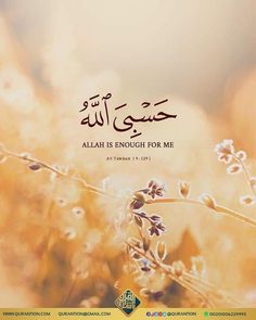 Quranic Verses With Translation, Ayat With Translation, Islamic Dp Quotes, Dp Quotes, Sabar Quotes, Islamic Dp, Life Quotes Wallpaper, Alhumdulillah Quotes, Quotes About Strength And Love