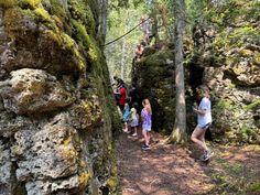 several people are hiking up the side of a cliff in the woods with trees and mossy rocks