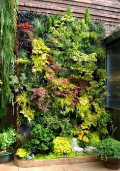 a vertical garden wall with various plants growing on it