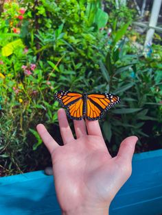 a person's hand holding a small orange and black butterfly in front of green plants