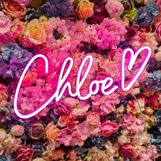 the word cloo written in pink neon light surrounded by colorful flowers and greenery