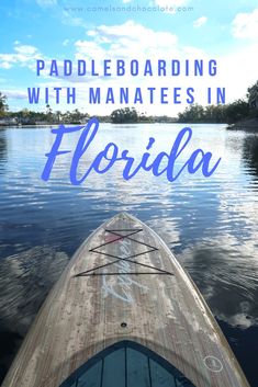 the back end of a boat with text overlay reading paddleboarding with manatees in florida