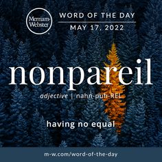 a poster for the word of the day nonpareil