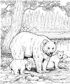 an adult bear and two baby bears in the woods