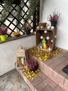 some plants are sitting on the steps in front of a mirror