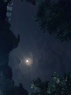 the moon shines brightly in the night sky above some trees and bushes on a dark, overcast day