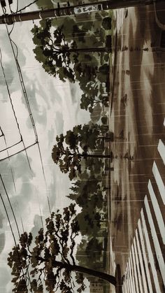 an image of trees and power lines reflected in the wet glass windows of a building