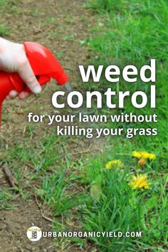 How To Get Rid Of Weeds In Lawn, Poison Ivy Killer, Kill Weeds Naturally, Killing Weeds, Kill Weeds, Wild Onions, Weeds In Lawn, Bug Killer, Landscape Fabric