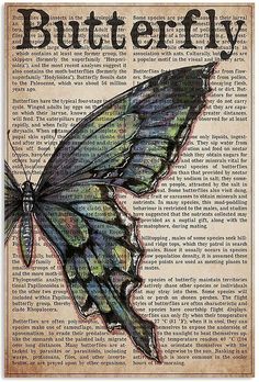 a butterfly on an old book page with the word butterfly written in black and white