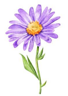 a drawing of a purple flower with green leaves