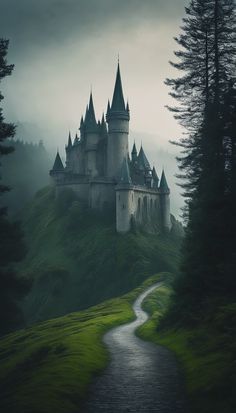 a castle on top of a hill with a path leading to it and fog in the air