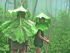 two people walking in the woods with umbrellas on their heads and one holding a plant