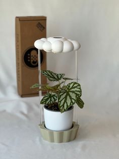 a white potted plant sitting on top of a table next to a cardboard box