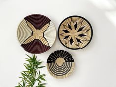 three woven baskets are hanging on the wall next to a potted plant and green leaves